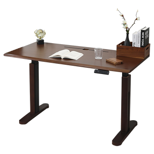 Electric Ergonomic Standing Desk with Cable Holes